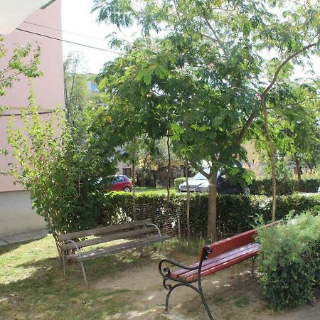 Apartament Anca Apartment Tirgu Ocna Ngoại thất bức ảnh