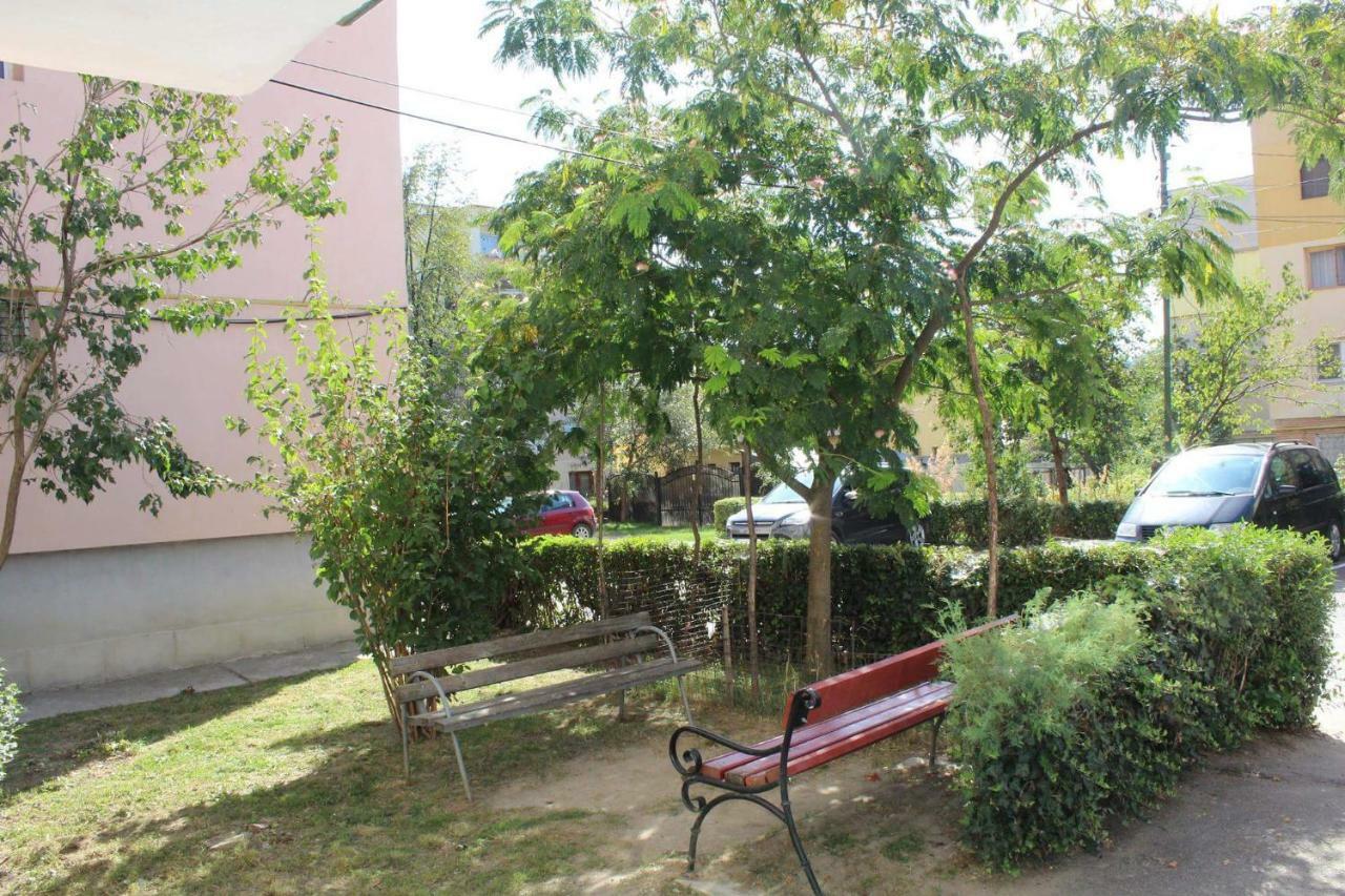 Apartament Anca Apartment Tirgu Ocna Ngoại thất bức ảnh