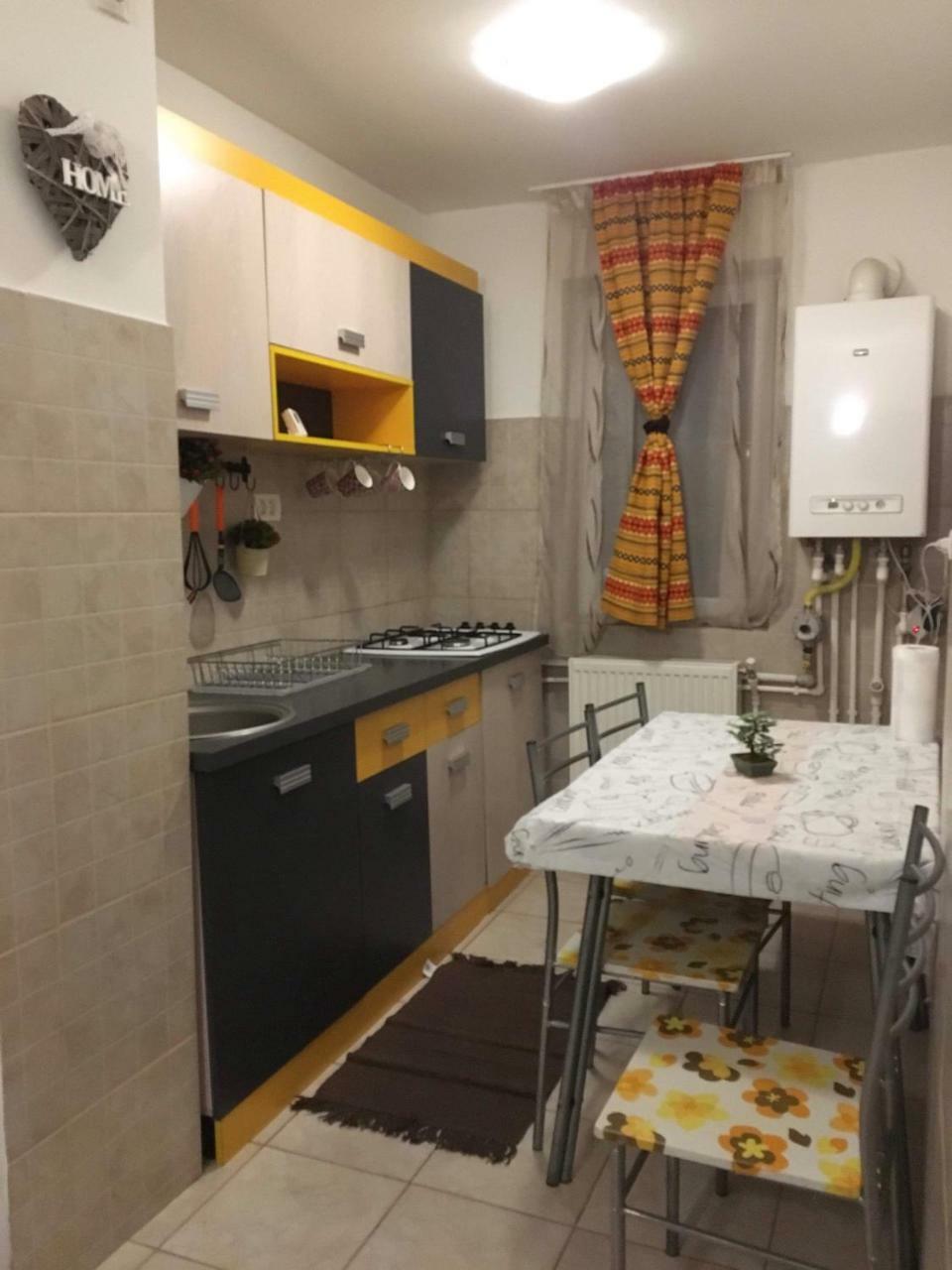 Apartament Anca Apartment Tirgu Ocna Ngoại thất bức ảnh